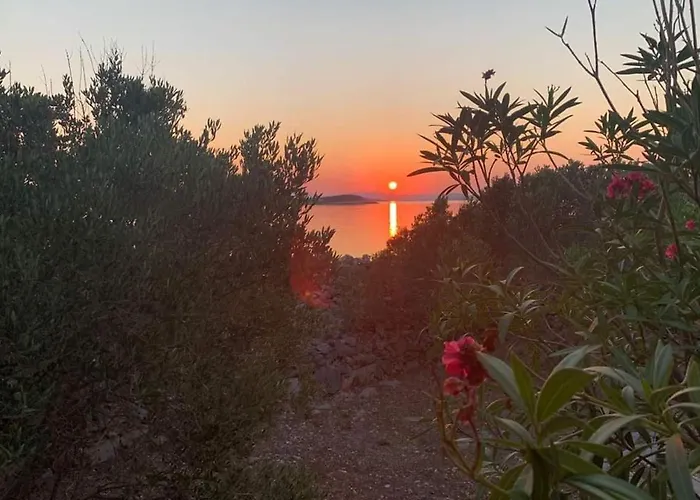 Secluded Fisherman's Cove Matuskovica, Pasman - 11343 Vikendica